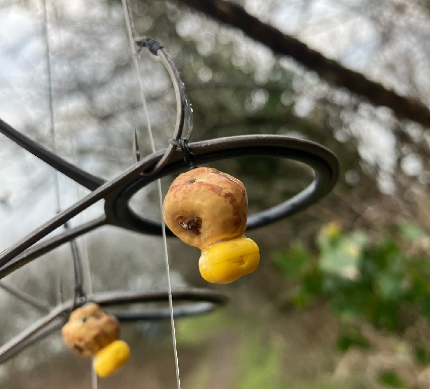 3x corn tipped tiger nut. *read description*